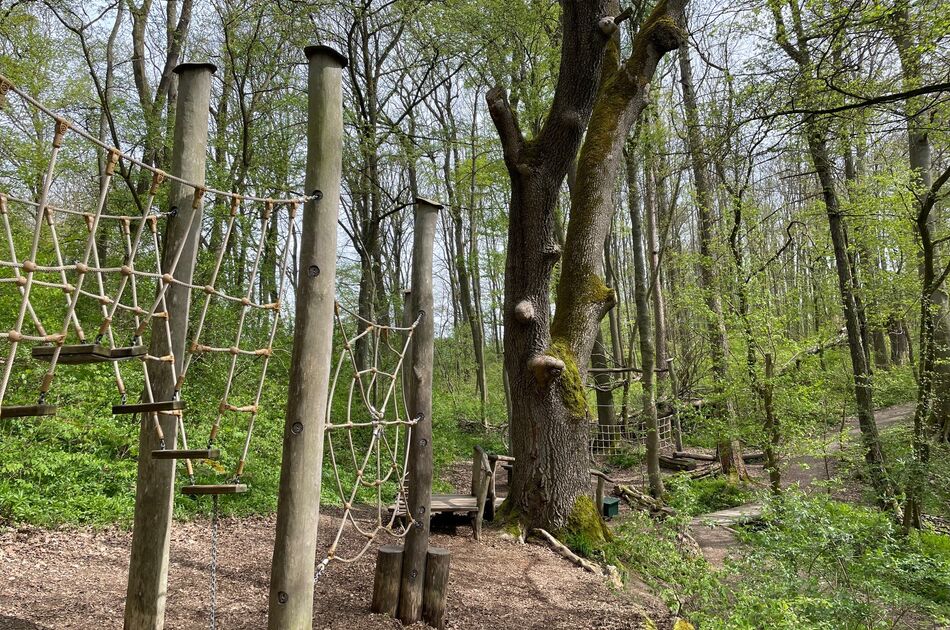 Blick auf das Kletterareal auf dem Wildkatzenschleichpfad