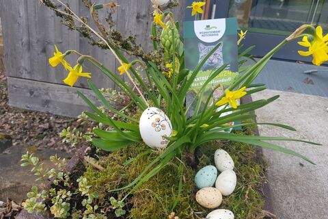 Ostern im Wildkatzendorf Hütscheroda