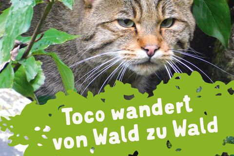 Cover Wildkatzendorf-Minibuch