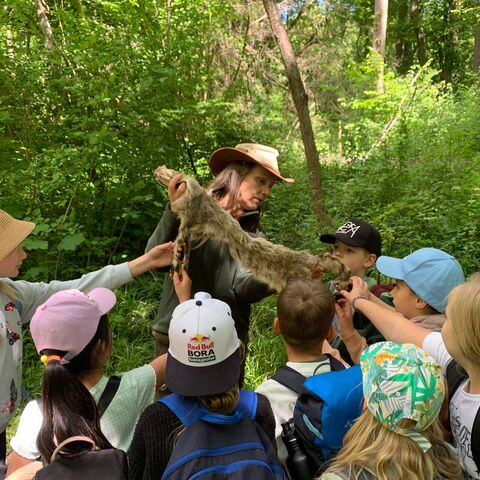 Kinder fassen beim Ferienangebot Wilder Donnerstag ein Katzenfell an