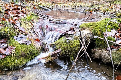 Alte Hainsbach