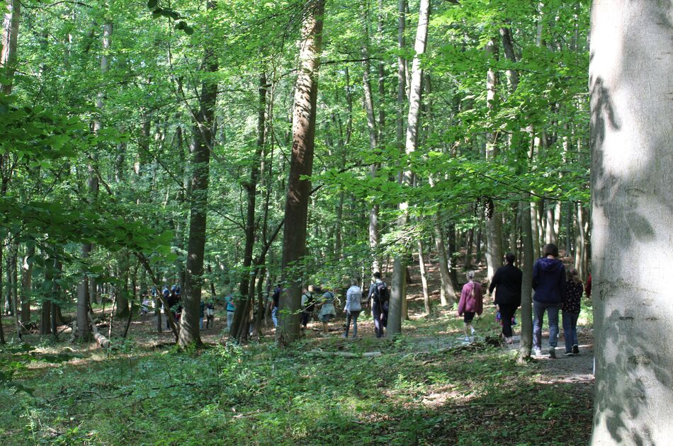 Kurzführung auf dem Wildkatzenschleichpfad