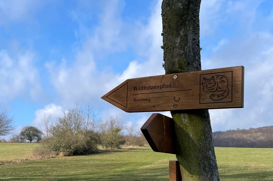 Wegweiser Wildkatzenpfad aus Holz