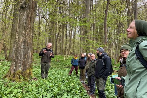 Team im Nationalpark Hainich inmitten von Bärlauch und Buchen mit Nationalparkleiter Rüdiger Biehl