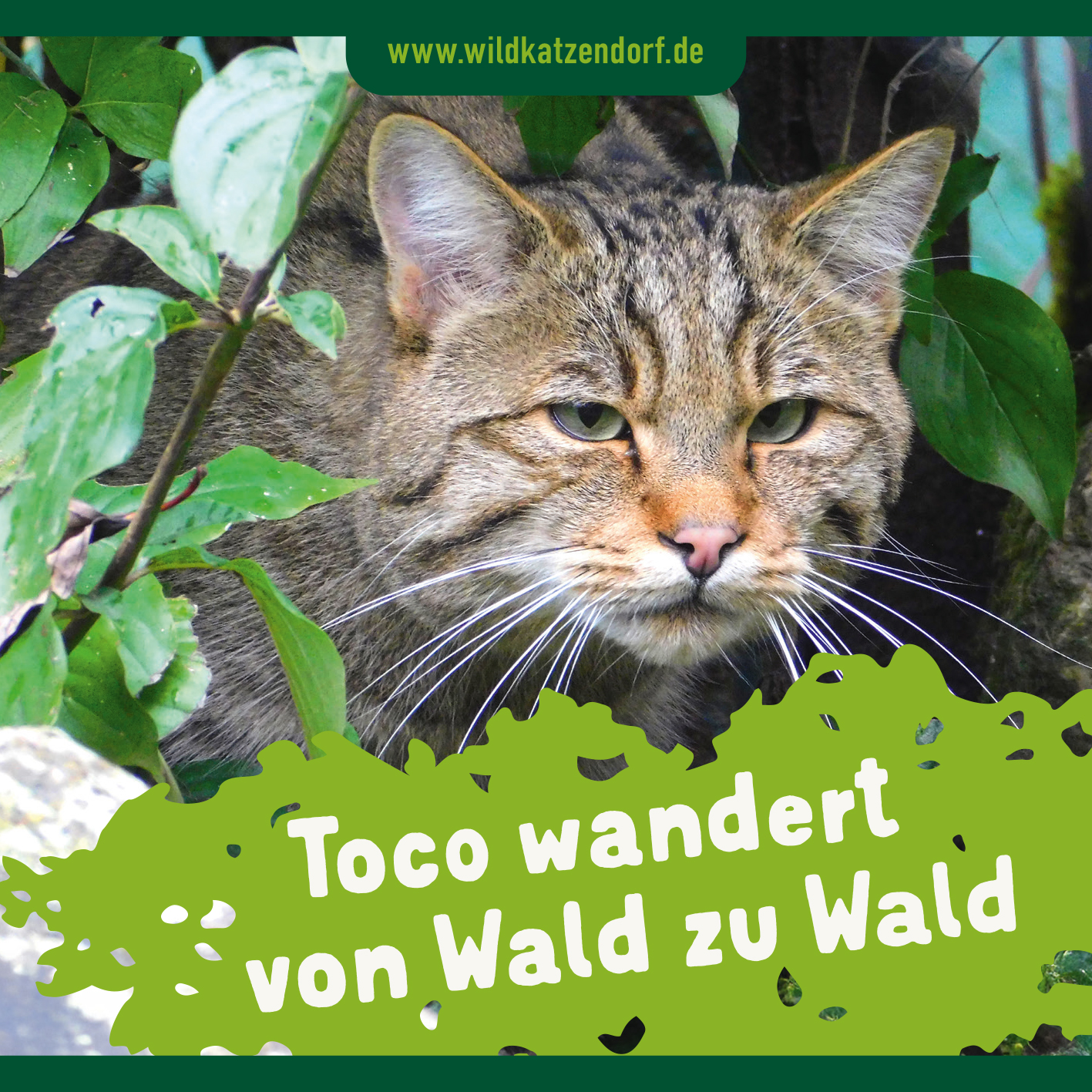 Cover Wildkatzendorf-Minibuch