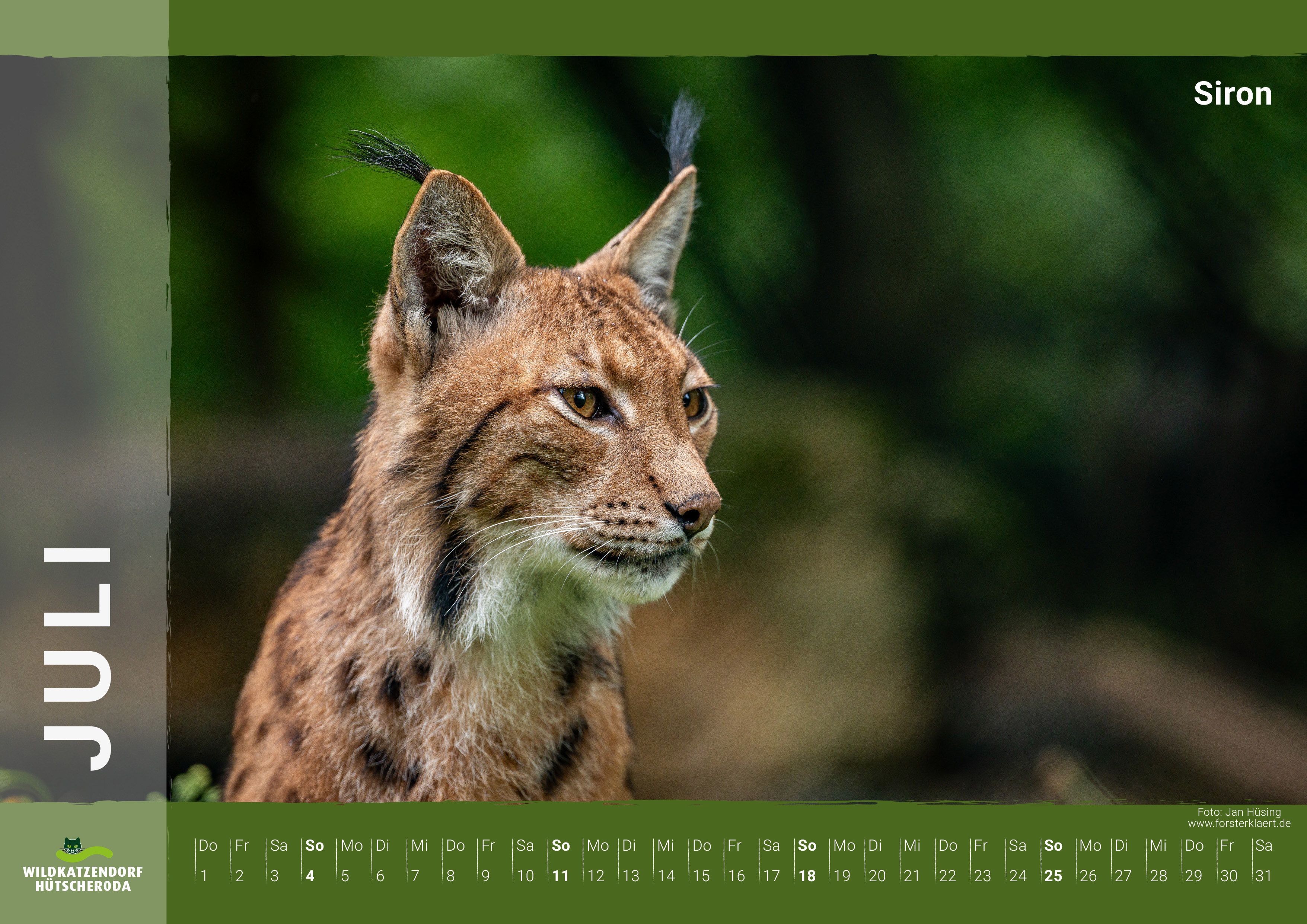 Kalender Wildkatzen & Luchse 2027 - Juli