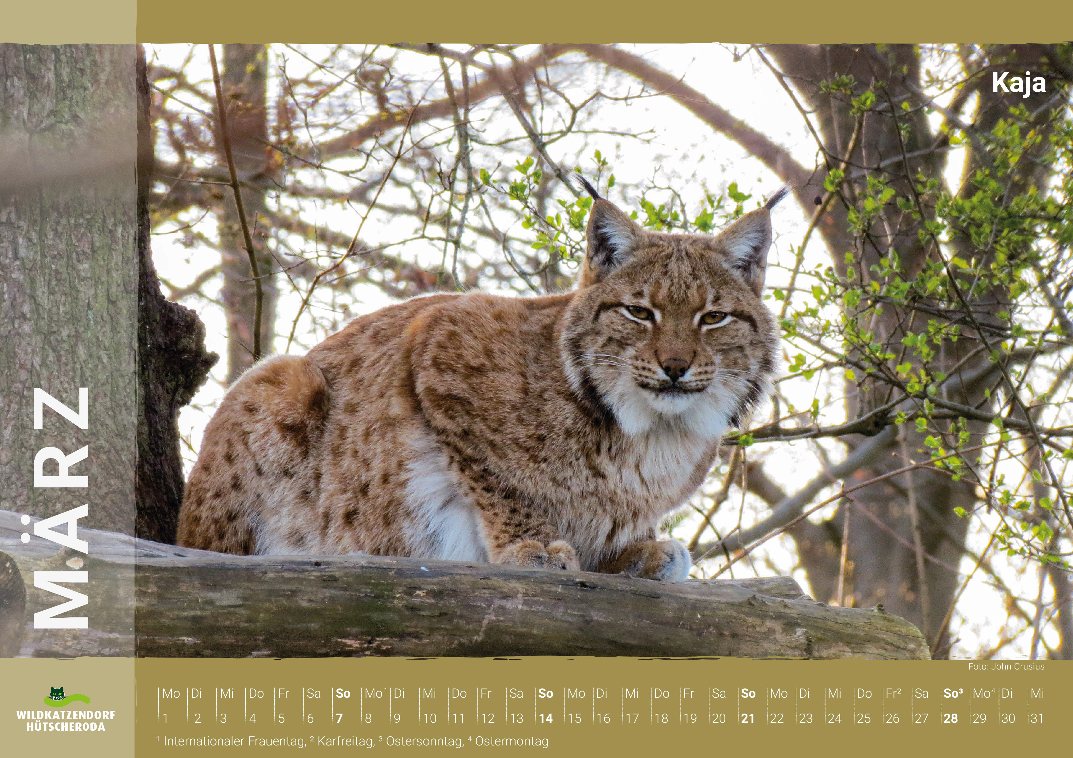 Kalender Wildkatzen und Luchse 2027 - März