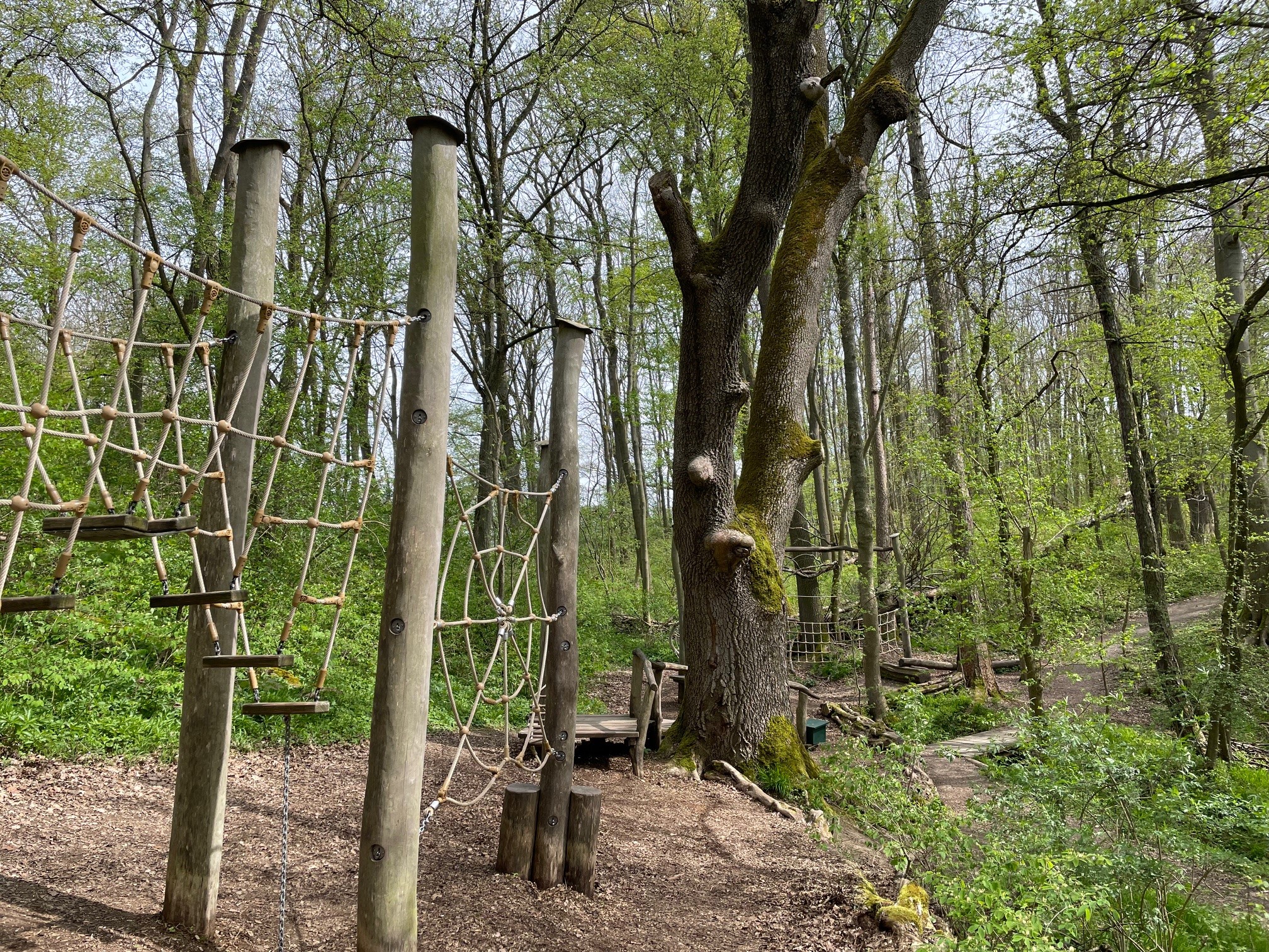 Blick auf das Kletterareal auf dem Wildkatzenschleichpfad